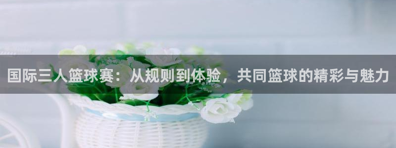 国际三人篮球赛：从规则到体验，共同篮