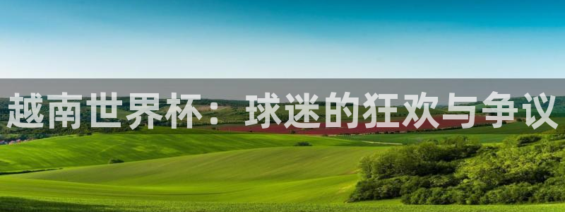  越南世界杯：球迷的狂欢与争议