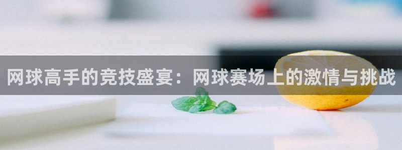 网球高手的竞技盛宴：网球赛场上的激情与挑战