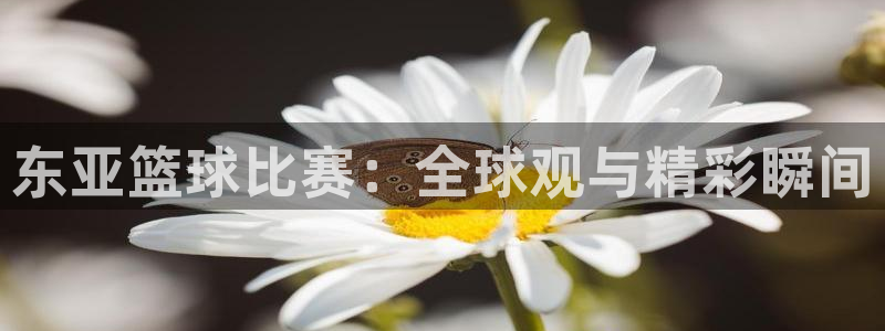  东亚篮球比赛：全球观与精彩瞬间