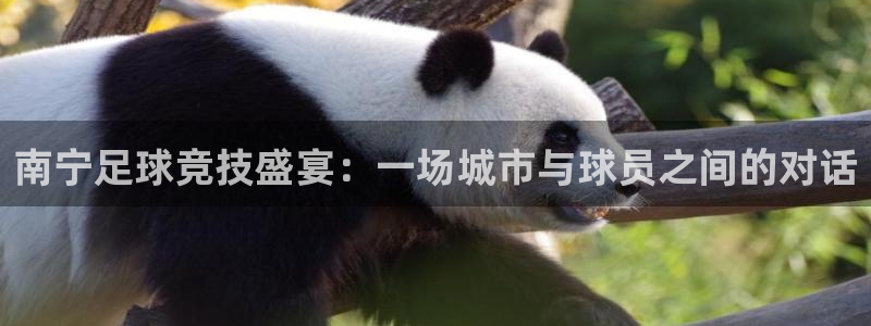 易游体育app客户端下载安装苹果：南宁足球竞技盛宴：一场城市