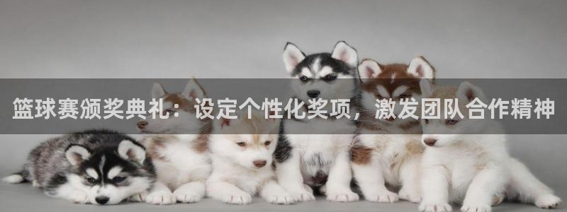  易游平台是干什么的：篮球赛颁奖典礼：设定个性化奖项，激发团队