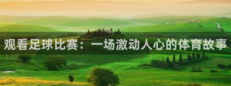 易游游戏平台官网：观看足球比赛：一场