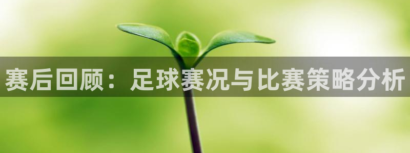 易游体育官方网站app下载最新版本：