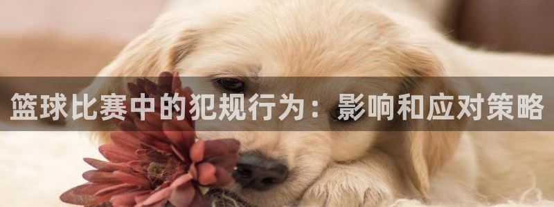 易游网游戏平台官网：篮球比赛中的犯规