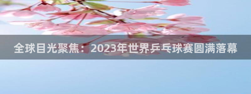 易游体育平台下载安装最新版：全球目光