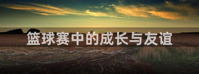 易游体育官网下载安装苹果：篮球赛中的
