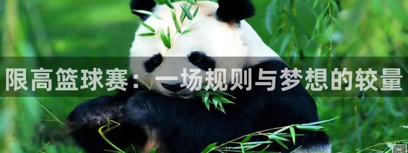 易游体育app客户端下载官网：限高篮