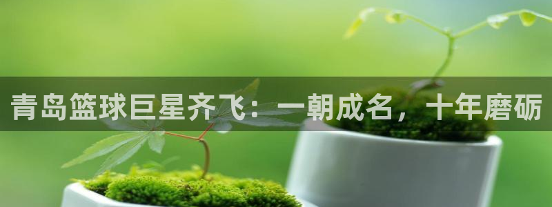 易游体育官网登录入口手机版下载：青岛
