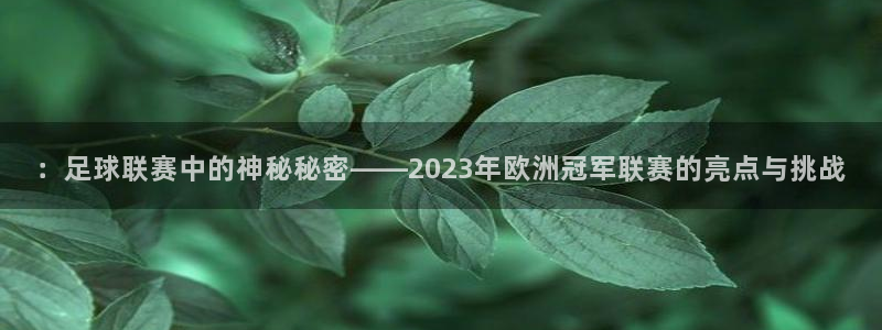 易游网是正规平台吗：：足球联赛中的神
