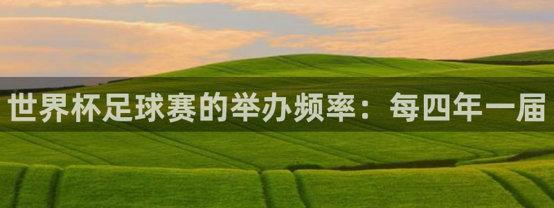 易游平台官方：世界杯足球赛的举办频率：每四年一届