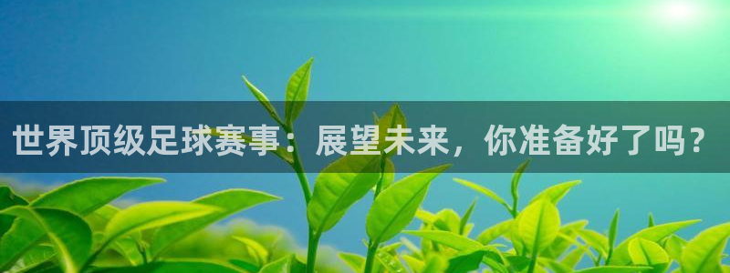 易游交易平台安全吗：世界顶级足球赛事：展望未来，你准备好了吗