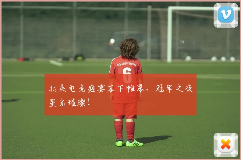北美电竞盛宴落下帷幕,冠军之夜星光璀璨!