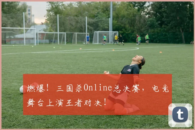 燃爆!三国杀Online总决赛,电竞舞台上演王者对决!