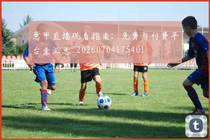 意甲直播观看指南：免费与付费平台全汇总_20260704175401