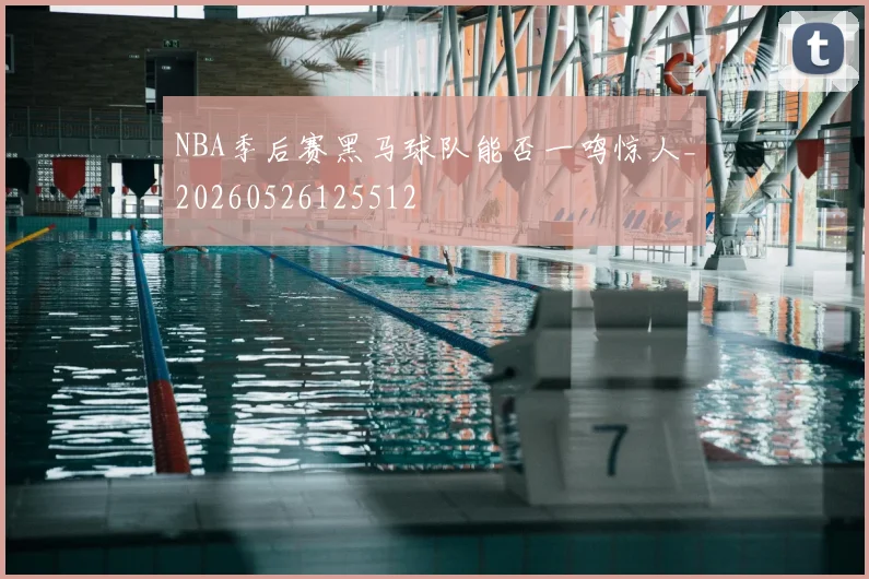 NBA季后赛黑马球队能否一鸣惊人_20260526125512